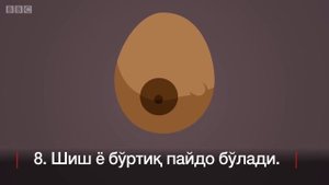 Кўкрак саратони 12 аломати. Уларни биласизми?