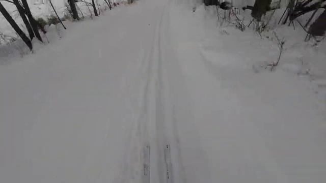 Cross Country Skiing in Carver Park Reserve, Minnesota смотреть онлайн