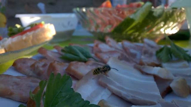 Оса ест мясо смотреть онлайн