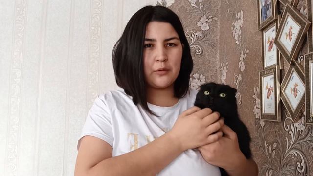 Сервис ветеринар онлайн