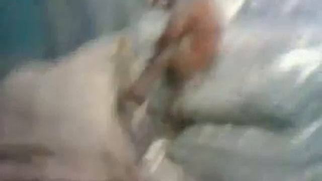 Шкодливая обезьяна смотреть онлайн