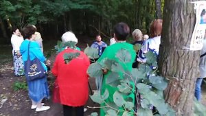 Парк Измайлово 01.08.21