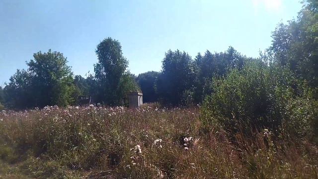 Деревня моего детства 25 лет спустя. смотреть онлайн