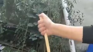 Сливаю бензин без помощи рта и других приспособлений