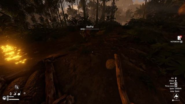 Green hell | LIVE смотреть онлайн