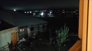 Забой быка 1,5 года, выход 303 кг