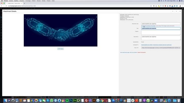 Come ottimizzare velocissimamente gli ALT delle immagini in Wordpress смотреть онлайн