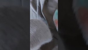 Как распушить шапку из пуха норки