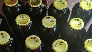 Десертное вино из вишни. Финал.