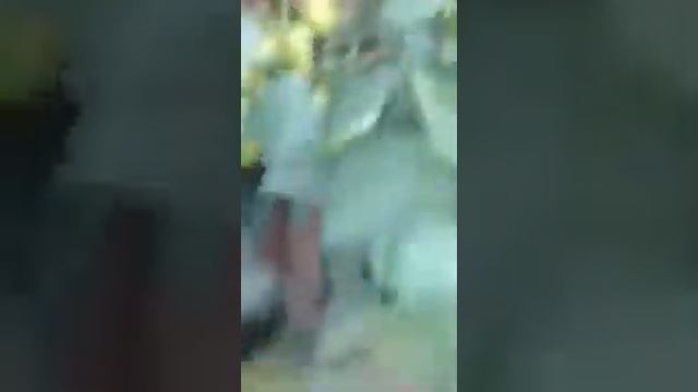 Перец Полет f1 5 июля 2020... смотреть онлайн