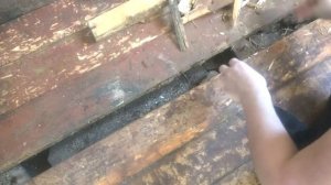 Бюджетный ремонт полов в старой квартире.