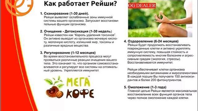 Продукт Основа Бизнеса