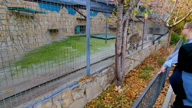Зоопарк Тайган самый большой в Европе Сафари - Парк львов Олег Зубков Крым