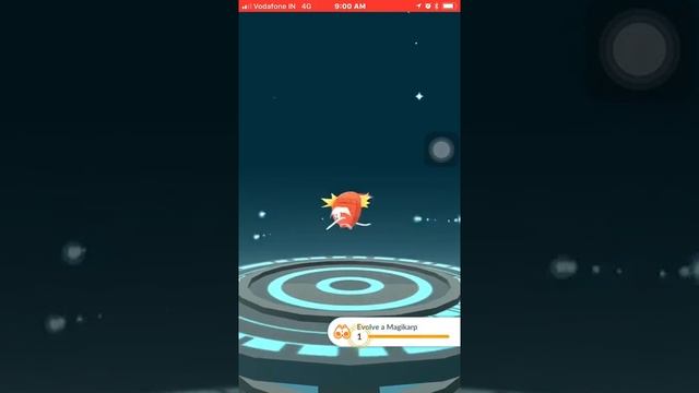 100 IV Magikarp evolution