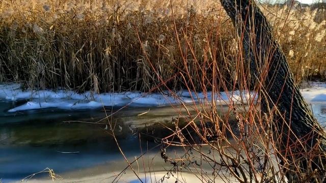 Народный праздник «Егорий Осенний». 9 декабря. Что нужно делать в этот день смотреть онлайн