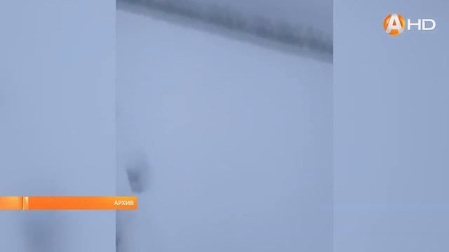 На дороге в 30 километрах от Ковдора жители района встретили волка смотреть онлайн