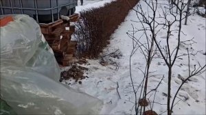 антиморозная добавка для бетона и растворов,которая реально работает до  -15