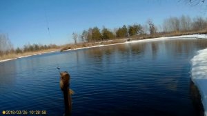 Ловля щуки. Ловля на джиг. Щука с берега. Джиговая ловля / Ловля с берега