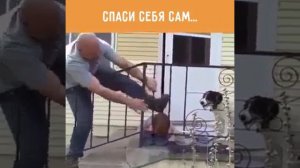 Сам себе помог.