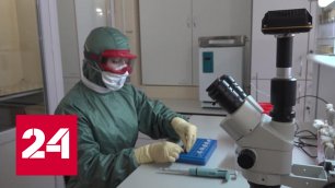 Рябков о биолабораториях на Украине: реакция оппонентов их изобличает - Россия 24