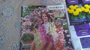 Обзор моих покупок.