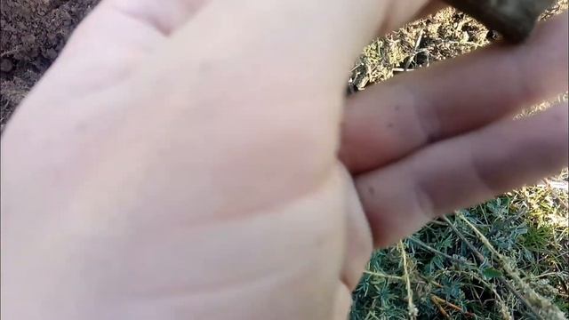 КОП МОНЕТ 2020 ПОИСК ЗОЛОТА И СТАРИНЫ смотреть онлайн