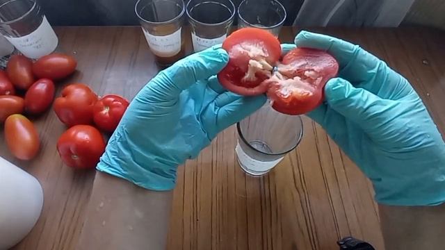 ЗАГОТАВЛИВАЮ СВОИ СЕМЕНА ТОМАТОВ и ОГУРЦОВ. МУЖСКИЕ и ЖЕНСКИЕ ПЛОДЫ - МИФ? смотреть онлайн