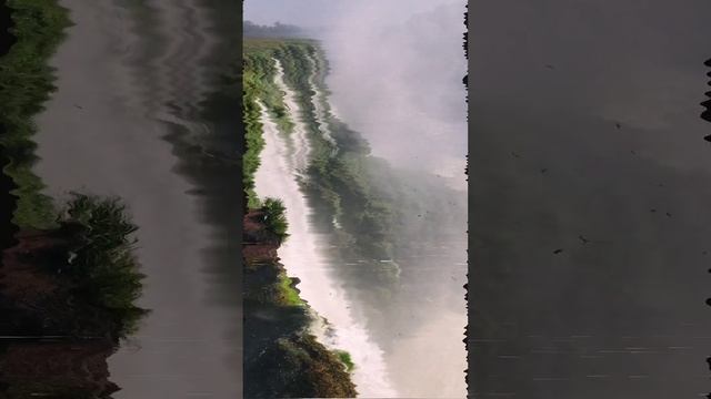 расслабляющее музыкальное видео