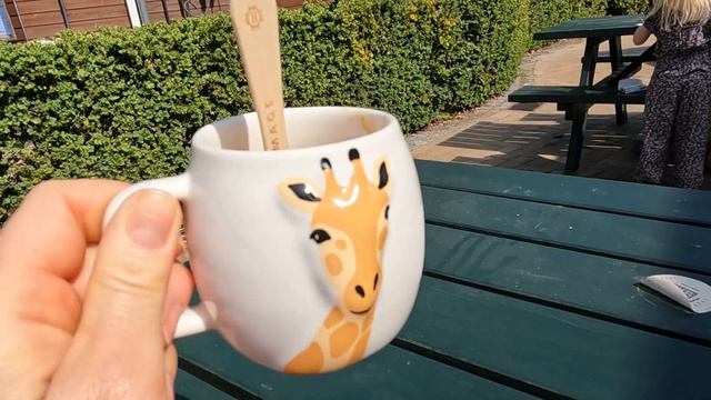 ЗООПАРК В КОПЕНГАГЕНЕ #Копенгаген #зоопарк #zoo #животные #дания смотреть онлайн