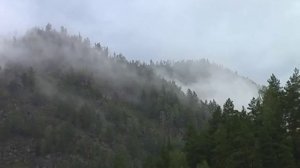 На Алтае дожди взахлёб.avi