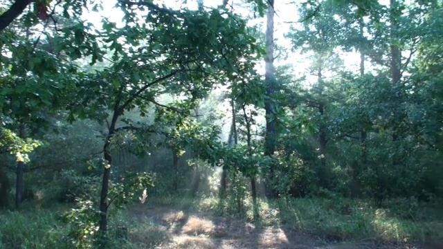 Туристический поход на байдарках по реке ПРА (ч.2). Pra River смотреть онлайн