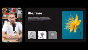 ?? 15 ПРАВИЛ дизайна PowerPoint презентации.| Как сделать красивую презентацию?
