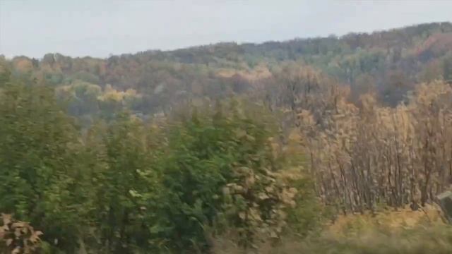 ОНИ ТАМ ЖИВУТ? ДЕРЕВНЯ БОРЩЁВО/ ПОЕЗДКА В ДЕРЕВНЮ В ВОРОНЕЖСКОЙ ОБЛАСТИ