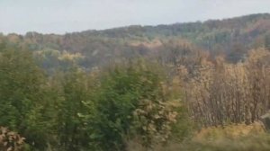 ОНИ ТАМ ЖИВУТ? ДЕРЕВНЯ БОРЩЁВО/ ПОЕЗДКА В ДЕРЕВНЮ В ВОРОНЕЖСКОЙ ОБЛАСТИ