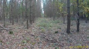 Коп на склонах манеты и даже золотишко.