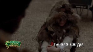 Ослиная шкура "В гостях у сказки" промо