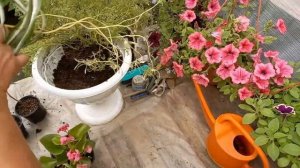 Композиция из непродаваемых цветов.