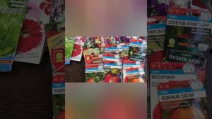 Какие томаты буду сеять, любимые сорта.