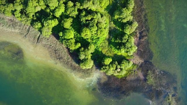 озеро Донцо . Ленинградская область . смотреть онлайн