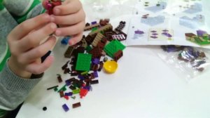 Лего набор Растения против зомби. Lego plants vs zombi.