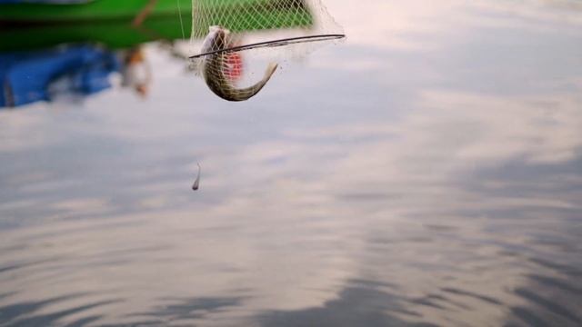 Успел рассказать СВОЙ МЕТОД заточки! Как сделать, из чего и как ЗАТОЧИТЬ? смотреть онлайн