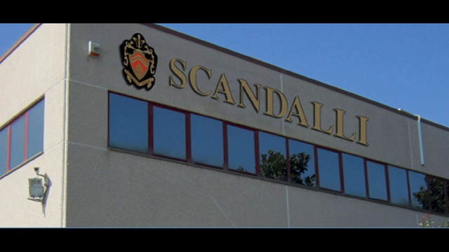 Баян- Scandalli- демо регистров.