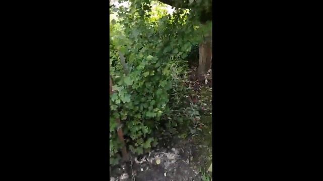 Моя новая дача Вот и месяц прошол Pinneberg, Hamburg 07 2021 r смотреть онлайн