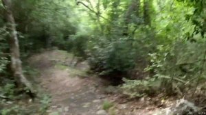 Вьетнам. Нячанг, экскурсия на северные острова. Декабрь 2023