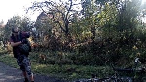 Дот Типанова