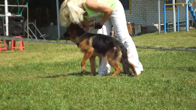 Могилев 2012 Моно НО Класс Суки-щенки смотреть онлайн