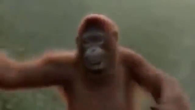 Вот так танцевать нада то смотреть онлайн