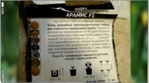 Как просто вырастить огурцы на балконе (апрель)