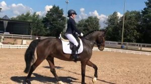 Крик, КСК Дерби ППД Б