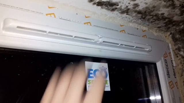 ЗАМУЧИЛА ПЛЕСЕНЬ НА СТЕНАХ?НЕ ЗНАЕТЕ КАК УДАЛИТЬ ГРИБОК? EcoService.md ! смотреть онлайн